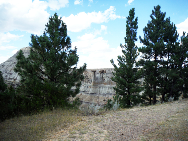 Caines Coulee in Makoshika State Park